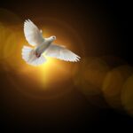faith, dove, holy spirit-4664706.jpg