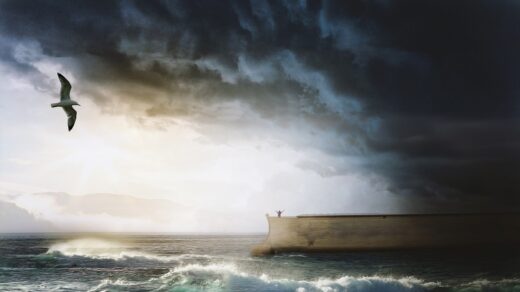 noah's ark, sea, seagull-6968364.jpg