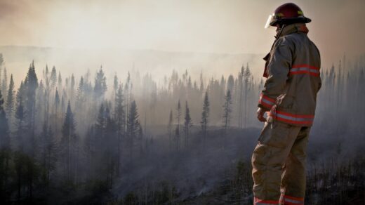 Fireman in Uniform Looking at Forest after Fire