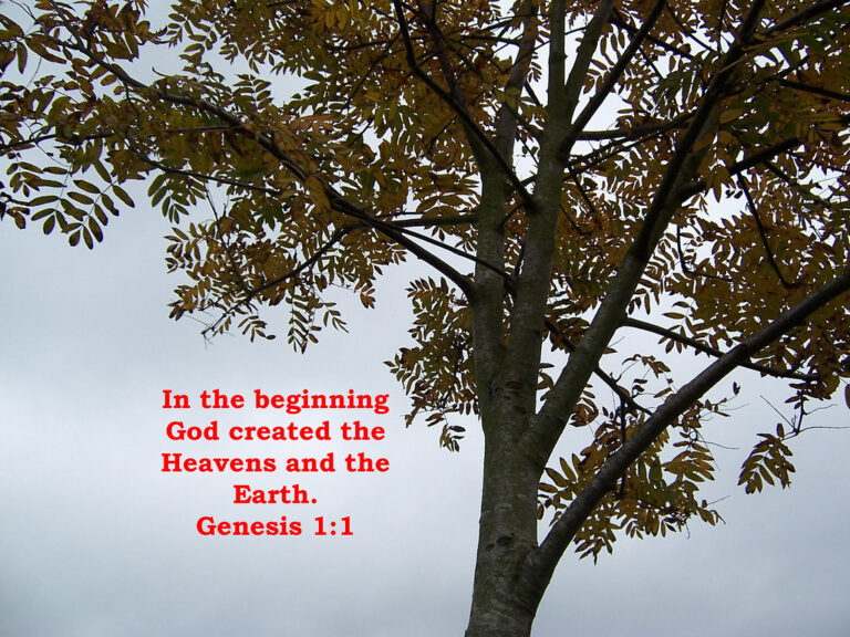 In the Beginning: A Poetic Rhapsody of Creation (Genesis 1:1)