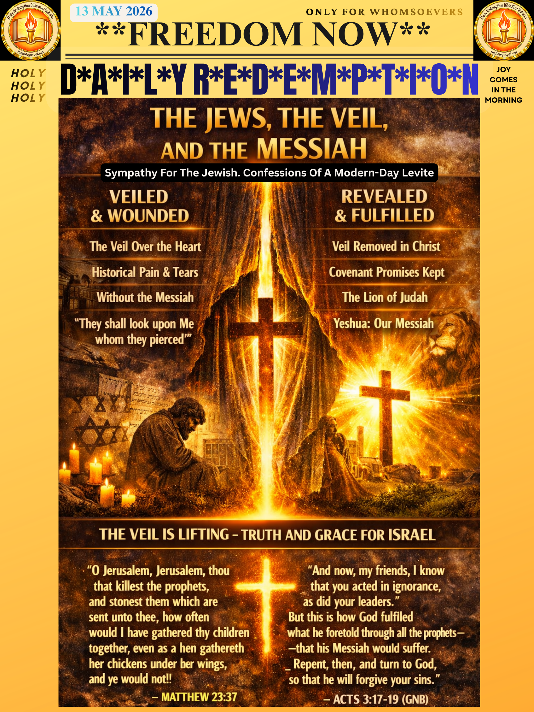 Sympathy For The Jewish DRBBB. Confessions Of A Modern-Day Levite
